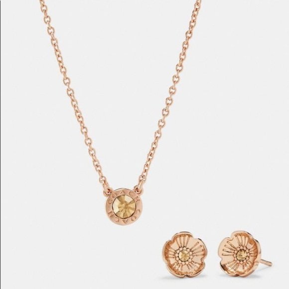 Coach Tea Rose Earrings and Open Circle Necklace - Picture 1 of 8